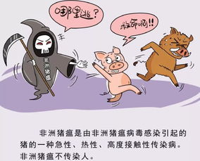 海南啟動非洲豬瘟防控應急響應機制，保障畜禽市場平穩，同步強化水產養殖安全管理
